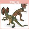 Realistic Jurassic Carnivorous Dinosaur Model Double Crested Dragon Decorative Figure For Collectors