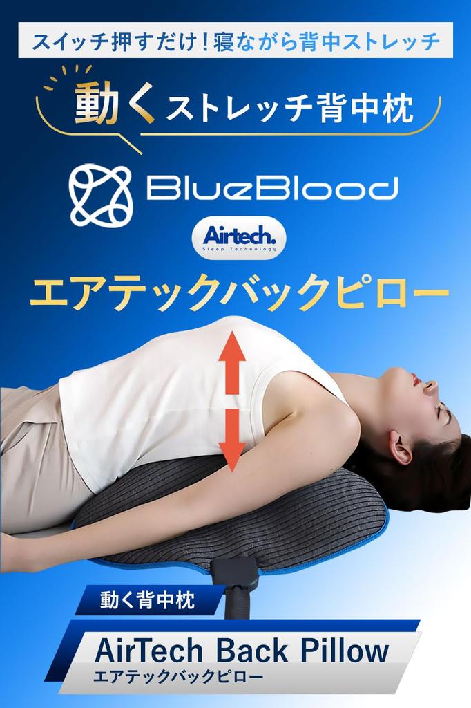 Moving Back Pillow Blue Blood Air Tech Back Pillow Back Stiffness