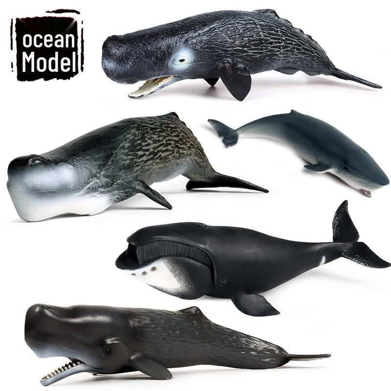 Marine Life Cognitive Toy Set: Sperm Whale, Shark, Bowhead Whale, Blue Whale
