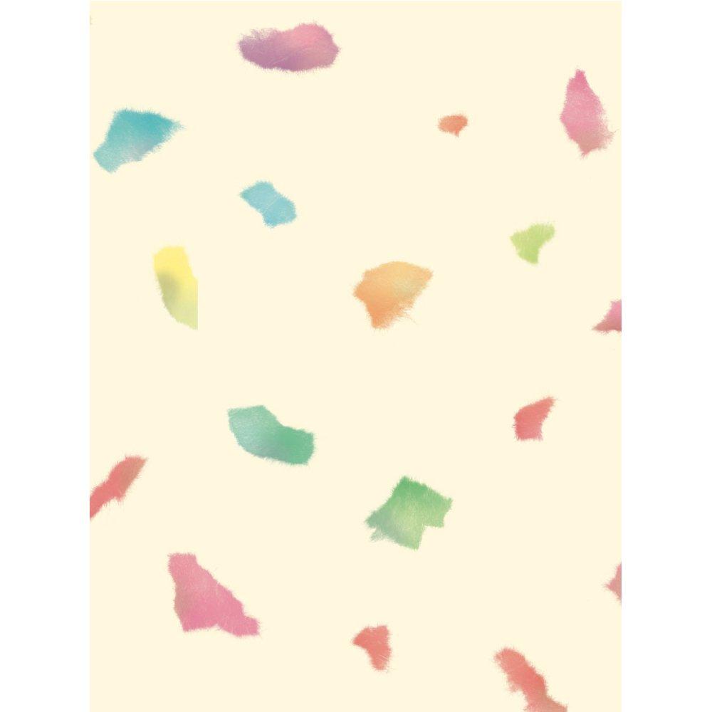 Takajirushi Wrapping Full 50 Sheets Paper, 49-2703, Japanese-Style Caprice, Size,