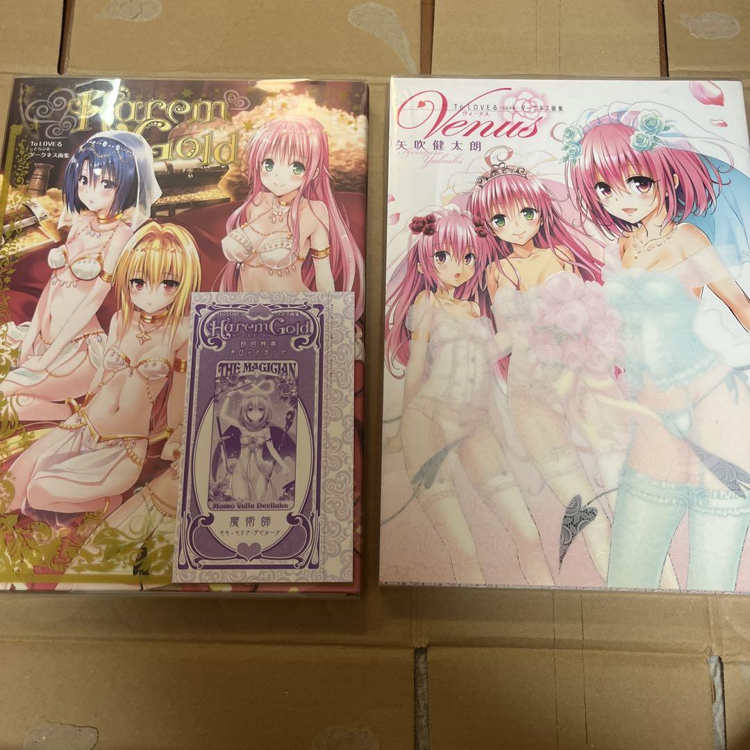 

[USED] Kentaro Yabuki To Love-Ru Darkness Art Book Set of 2 (Includes First-Time Bonus)