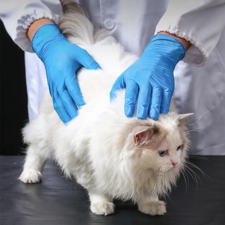 100 шт. одноразовые перчатки — фото 10