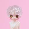 OB11 Transparent Parts Head Shell replacement Korean style Plastic Hair Transparent Replacement Doll Hair Head Mold For Dolls