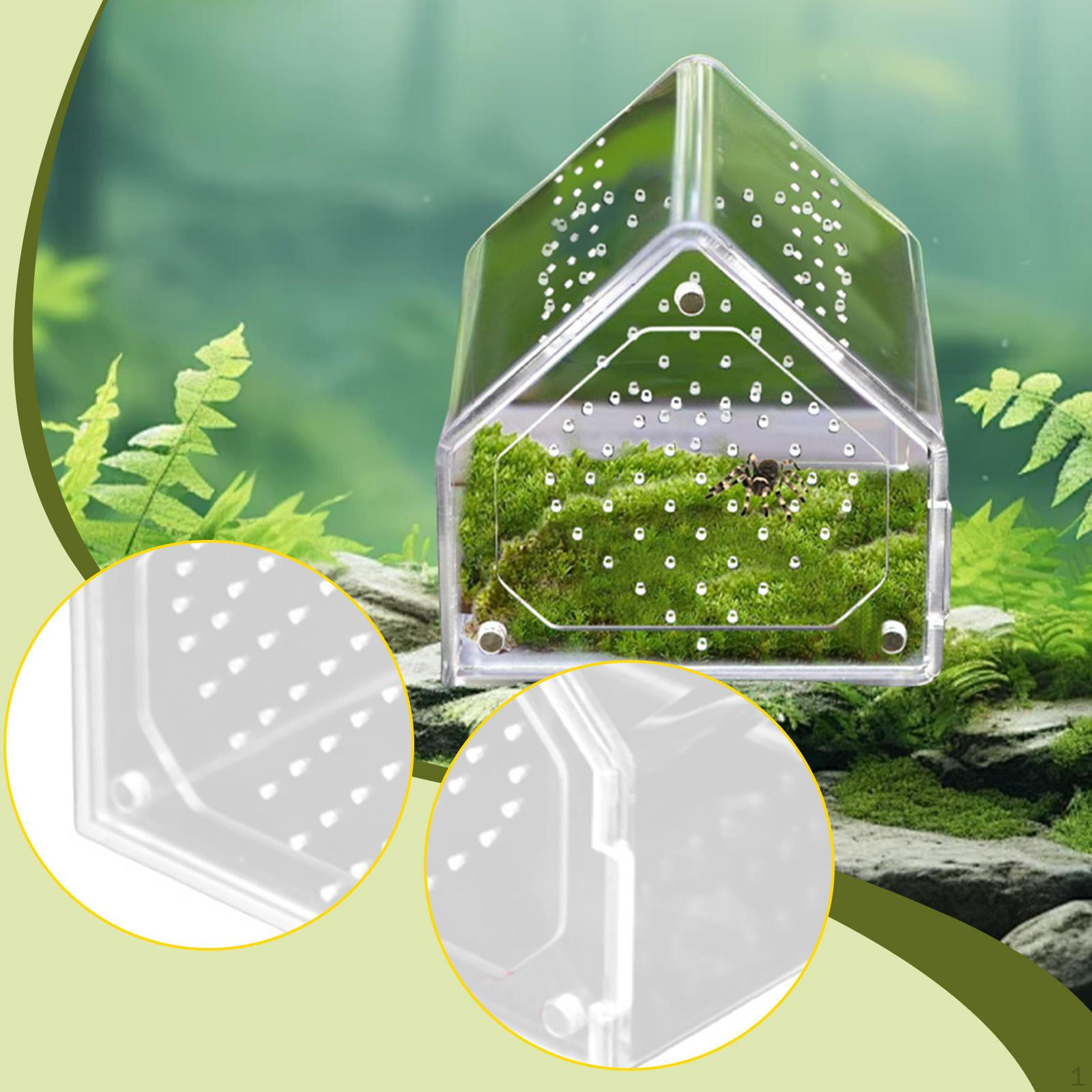 

Прыгающий террариум, Кормовой бокс, Маленький акриловый террариум для разведения, Среда обитания геккона 12cmx12cmx12cm