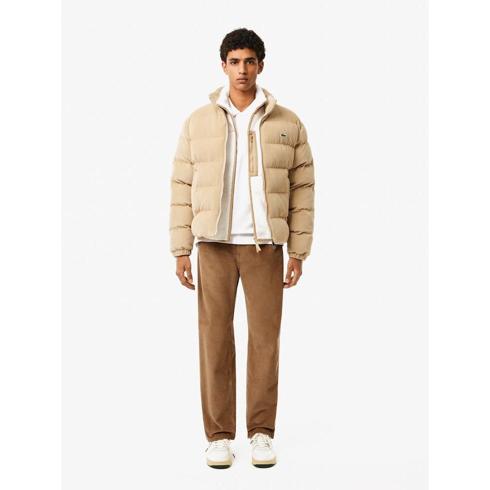 LacoSte Men S Straight Fit Corduroy pantS Hh8382 54n Six q2nHh8382 54nSix