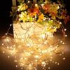 LED String Lights - Songnass - 5m - 50 Led - Warm White - Copper