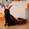 Chats – Tenues pour chats