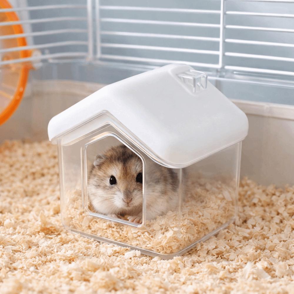 Anti-Spill Hamster Sand Bath Transparent Golden Bear Bathroom Hamster Toilet  Pet Habitat