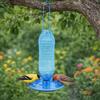 Practical Automatic Bird Water Feeder Plastic Detachable Hanging Hummingbird Feeder Eco-Friendly Wild Birds Drinker Kids Project