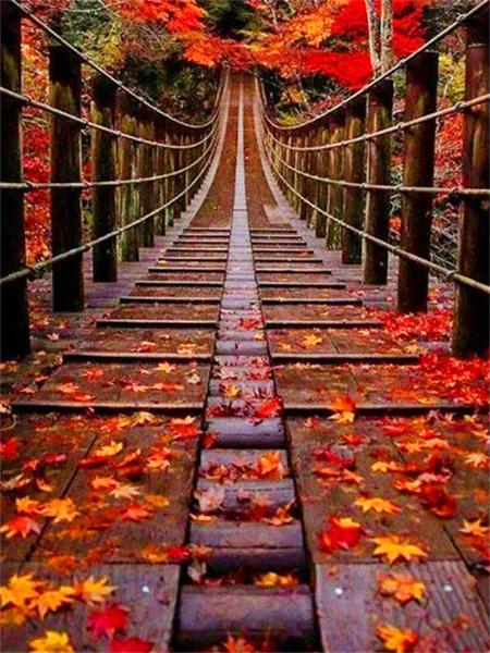 5D Diamond Painting New Arrivals Tree Bridge Full Square Round Embroidery Mosaic Landscape Home Decor