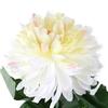 Outside Solar Landscape Yard Lamp Garden Lawn Flower Shape LED Light Decoration