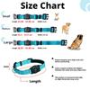 Dog Cat Pet Collar GPS Tracker Apple Find My Certified IP68 Waterproof Anti Lost Reflective Adjustable S M L