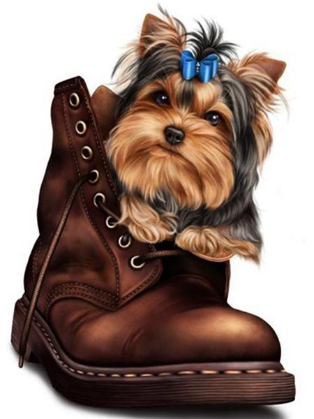 Diamentowe Malowanie Pies Zwierzę Diament Haft Yorkshire Terrier Mozaika Dekoracja Malowanie Diamentami