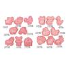 16Pcs Cartoon Farm Animals Biscuits Mold Cookie Stamps Set Fondant Biscuits Pastry Cookie Cutters for DIY Cake Baking