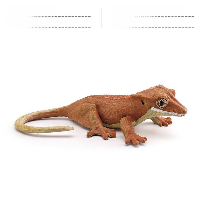 Phelsuma Pvc Replicas For Botanical Gardens And Nature Display Settings