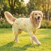Sun Protection Dog Sunscreen Clothes Ultra-thin Breathable Dog Jumpsuit  Daily Wear