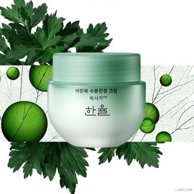 Hanyul Pure Artemisia Calming Water Cream 55ml (+Free Gift)
