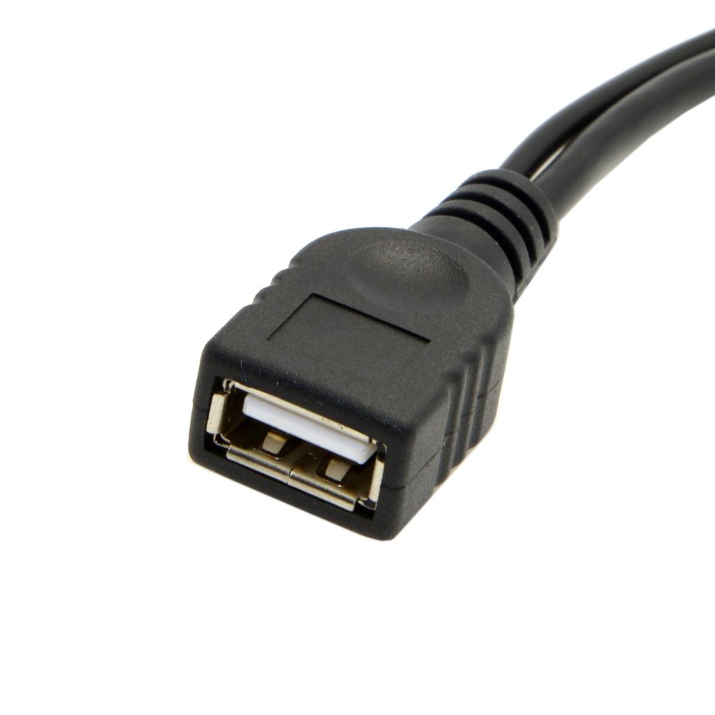 USB 3.1 Type-C To USB 2.0 Female OTG Data Cable with Extral Power