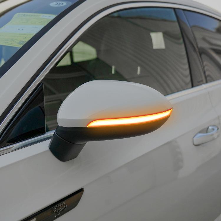 Volkswagen Weilan Wagon Rearview Mirror Blue Sequential Turn Signal Light