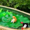 Realistic Fishing Cat Decoration Lotus Leaf Cute Aquarium Landscaping Miniature Resin Betta Fish Tank Decor Betta Tank