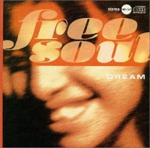 

CD РАЗНОЕ - Free Soul Dream VICP60427PROMO VICTOR 1998 Япония Соул/Фанк Б/у