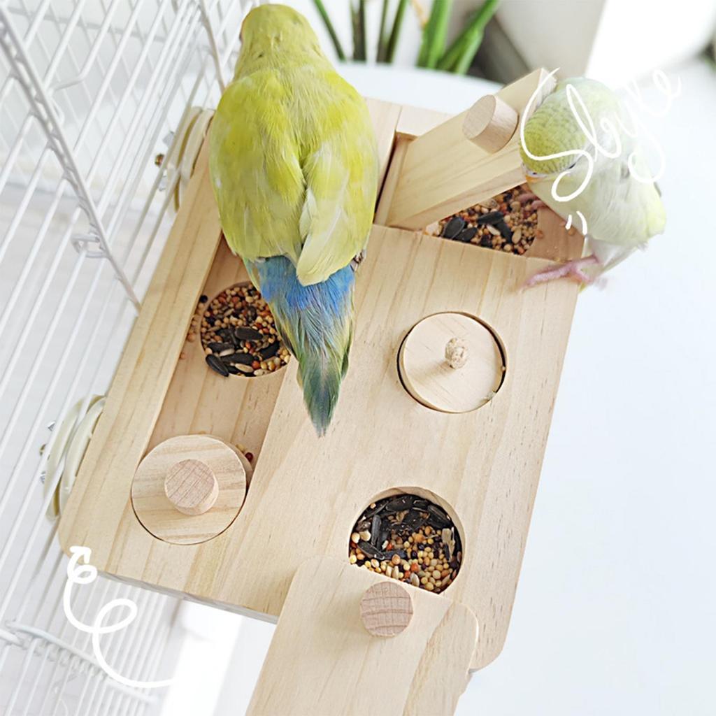 Bird Foraging Box Toy Snuffle Game Mental Toy for Sun Conures Hamster