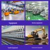 220V/380V Single/Three-Phase Small Industrial Vibration Motor for Vibrating Screens