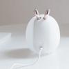 LED Home Deco Nachtlicht USB Silikon Cartoon Tier Schlafzimmer Nacht Nacht Lampe Wohnzimmer Beleuchtung Desktop Tisch Lampen