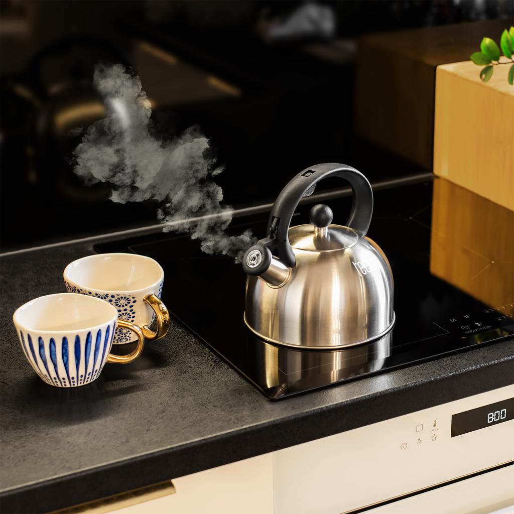 Teesa stainless steel kettle with whistle 2L gas induction