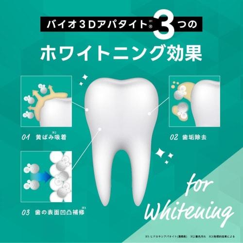 Dr. Oral 3D Whitening Powder Prime Mint and Toothbrush Set [Made In Japan] Thorough Whitening Bio 3D Apatite Eggshell Apatite 75103