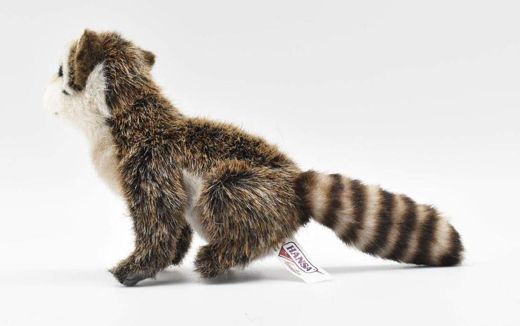 BH2649 HANSA Raccoon 23