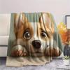 Cute Corgi,pattern Flannel Blanket, High Quality Comfortable for All Seasons, Home Decor, Warmth and Comfort, Perfect for Gifts.