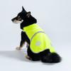Breathable Puppy Visibility Jacket Adjustable Pet Fluorescent Clothes Dog Safety Vest  Chihuahua
