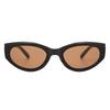 Cat Eye Vintage Sunglasses Women Men Fashion Retro Sun Glasses Female Male Mirror Punk Brand Designer Outdoors