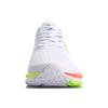 Li Ning Chasing Wind Comfortable Durable Low-Top Running Shoes Men sneaker White ARBQ007-4
