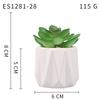Small, Wavy Cup-Shaped Simulated Succulent Plant Potted Plant, Nordic Office Furniture Fresh Decoration