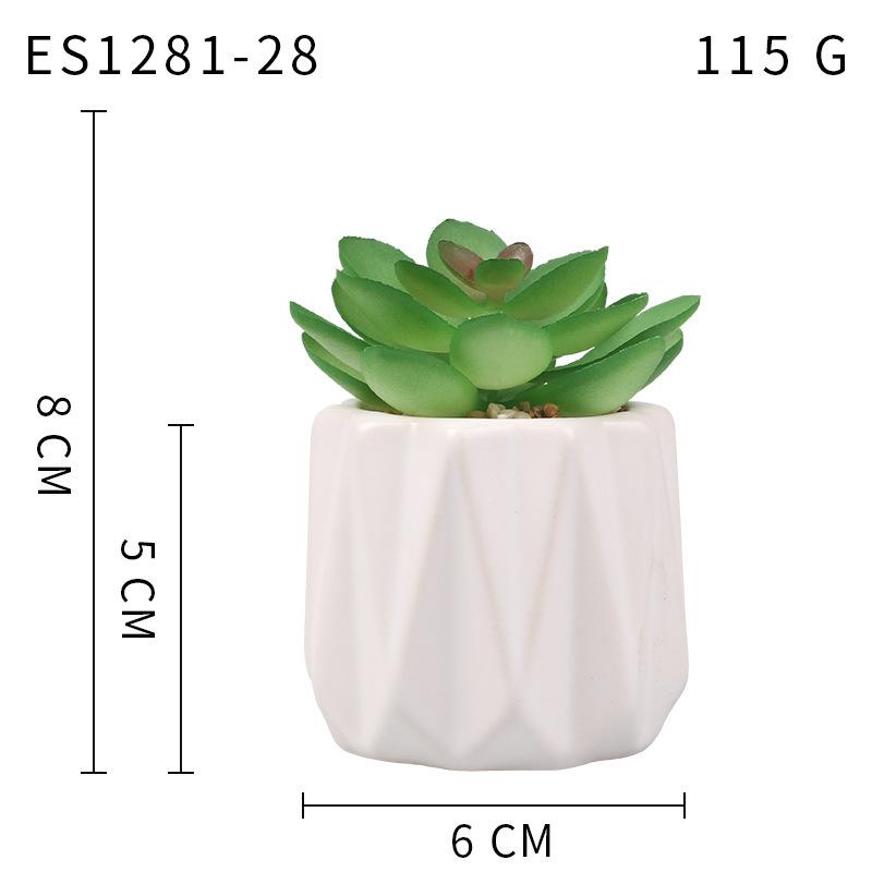 Small, Wavy Cup-Shaped Simulated Succulent Plant Potted Plant, Nordic Office Furniture Fresh Decoration