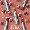 FASIO One-Swipe Lipstick 3.8g [All 8 Colors]- Long-lasting Color Lip Rouge