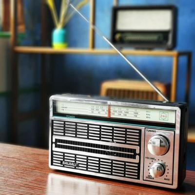 Klassisches AM/FM-Radio, Batteriebetrieben, Netzbetrieben, Hohe Lautstärke, Mehrere Sender