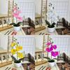Artificial Phalaenopsis Basin Potted Plant For Home Office Decoration Wedding