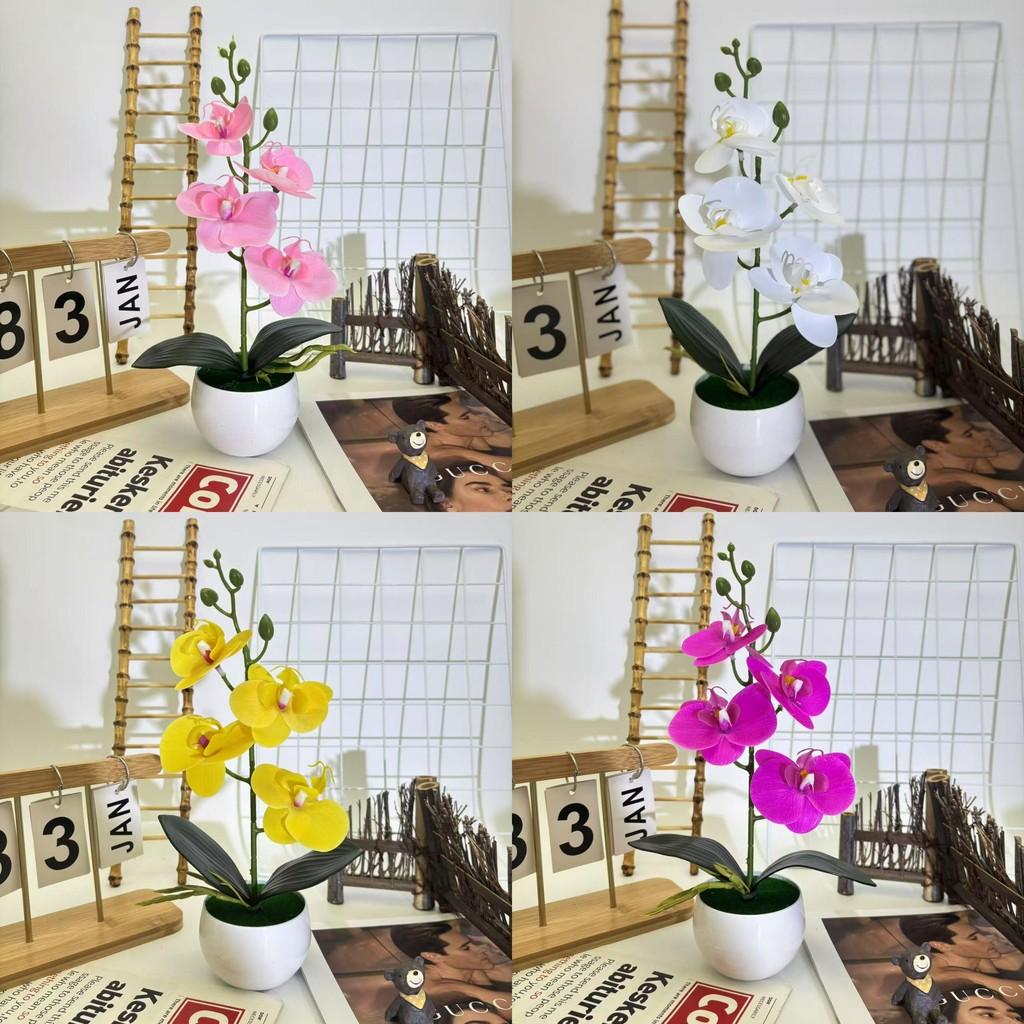 Artificial Orchid Plant With Colorful Blooms For Wedding Balcony And Patio Decoration