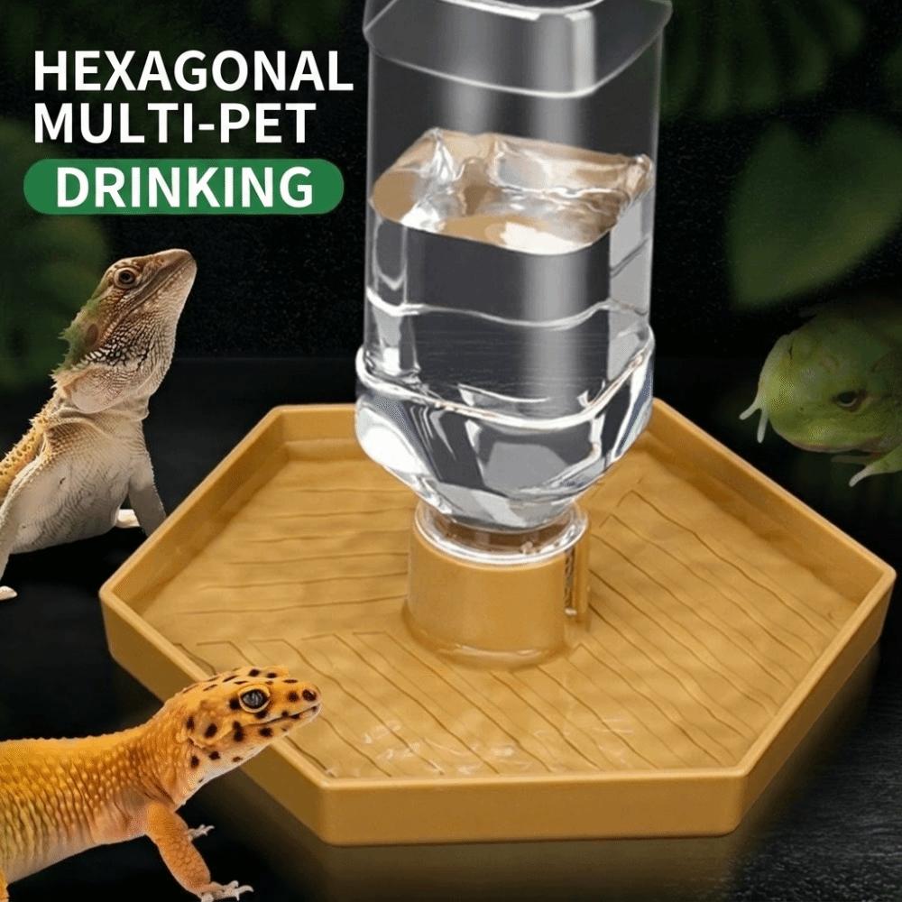 Comedero Automático para Tortugas Antideslizante Dispensador de Agua Reptiles Bebedero para Mascotas Reptiles