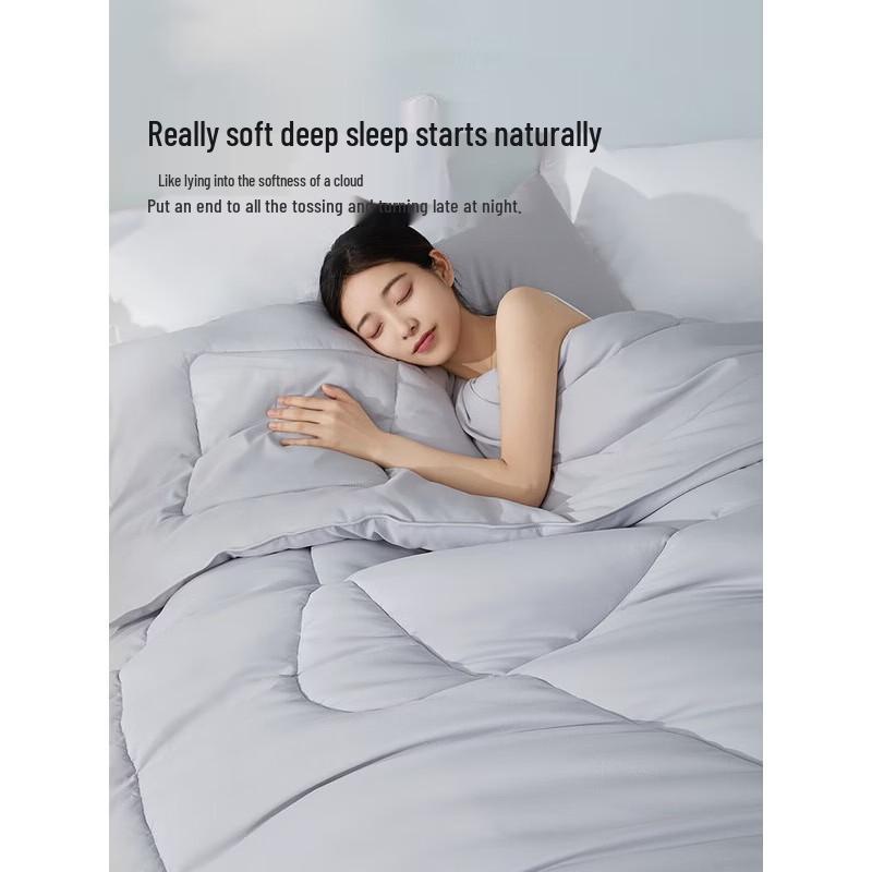 

Mercury Home Textiles All-Season Class A Fiber Quilt