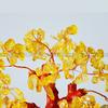 18cm Tall Mini Crystal Money Tree Bonsai Style Wealth Luck Tree Home Decor