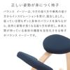 Balance Lab Balance Easy Short Standard Balance Improves Posture with Made in Height Adjustable Frame, Box, Beige, 144BN006, Chair, Ease, Japan,