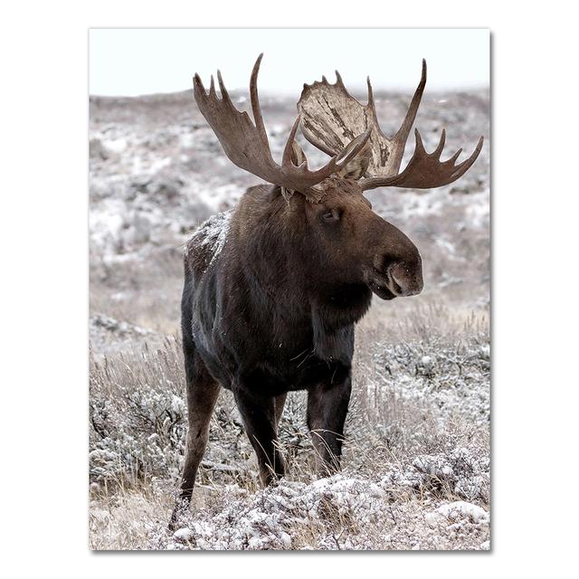 Scandinavian Poster and Print Winter Nature Landscape Canvas Painting Beer Deer Animal Wall Art Picture Nordic Style Home Decor No Frame