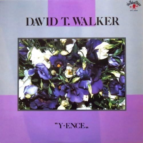 

CD DAVID T. WALKER - Y • Ence WPCR28007PROMO Warner Music 2014 Japan ObiSoul/Funk Used