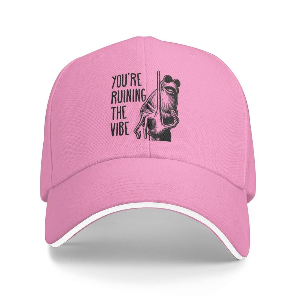Baseball Caps You're Ruining The Vibe Fun Graphic Unisex Casual Spring Hats