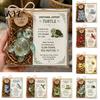 Emotionales Unterstützungsgeschenk Glas Tiergeschenk, Niedliche recycelte Taschentuch-Schildkröte/Vogel/Frosch für gestressten Freund Andenken mit Aufmunterungskarte, Trost
