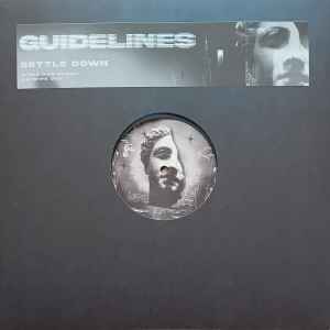 

12inch Record SETTLE DOWN - The Dun Dudda / Wipe Out GDLNS001 Guidelines 2025 UK Dance & Electronica